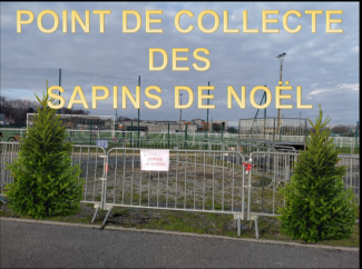 [POINT DE COLLECTE DES SAPINS DE NOEL]