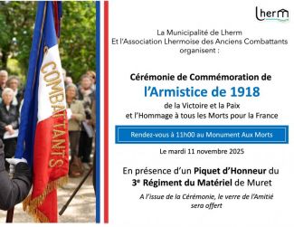 [CRMONIE DU 11 NOVEMBRE]