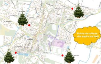 [POINTS DE COLLECTE DES SAPINS DE NOEL]