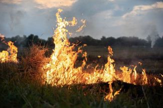 D�part de feu maitris� - chemin de S�bastian