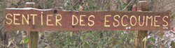 Le Sentier des Escoumes